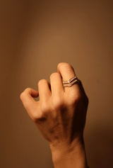 Rising Twin Gold Bands