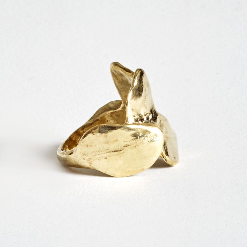 Five embracing leaves gold ring